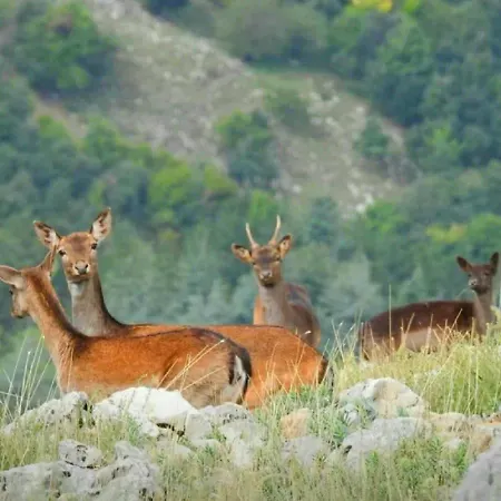 Monte Acuto - Natura, Mare & Relax In Piscina Farmház Toirano
