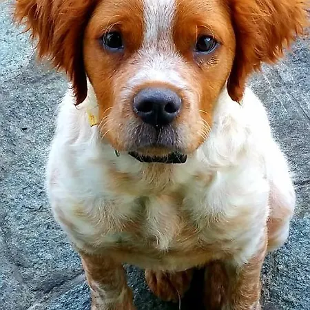 Monte Acuto - Natura, Mare & Relax In Piscina *