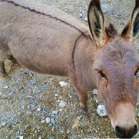 Monte Acuto - Natura, Mare & Relax In Piscina
